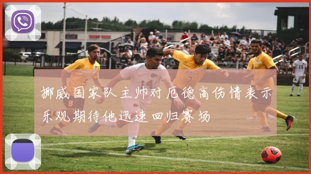 挪威国家队主帅对厄德高伤情表示乐观期待他迅速回归赛场